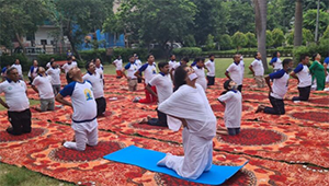 Sports Massage Session